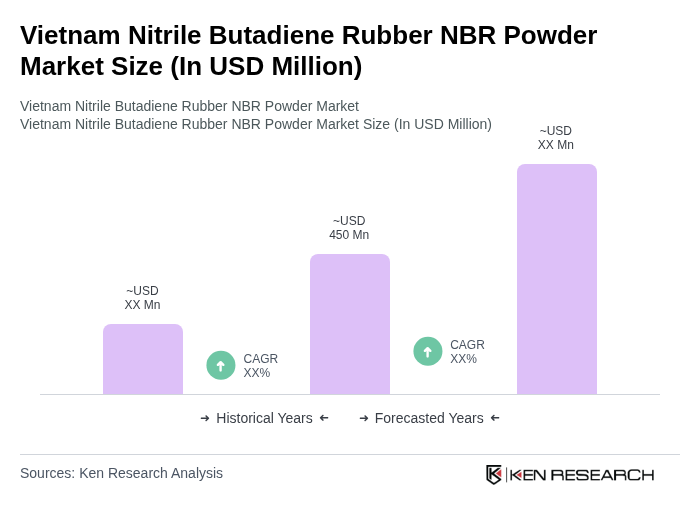 Vietnam Nitrile Butadiene Rubber NBR Powder Market Size